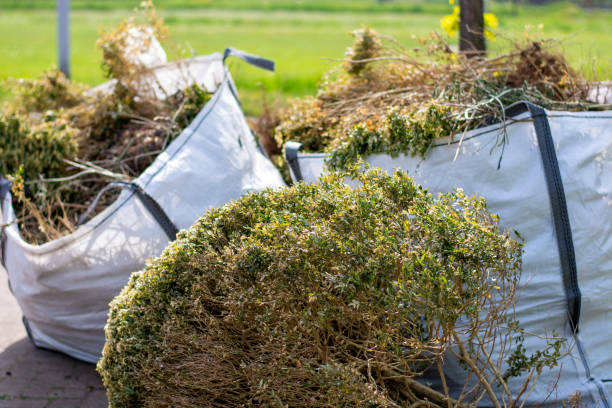 Best Basement Cleanout Services  in Carpendale, WV